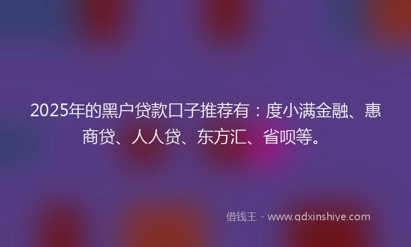 2025年的黑户贷款口子推荐有：度小满金融、惠商贷、人人贷、东方汇、省呗等。