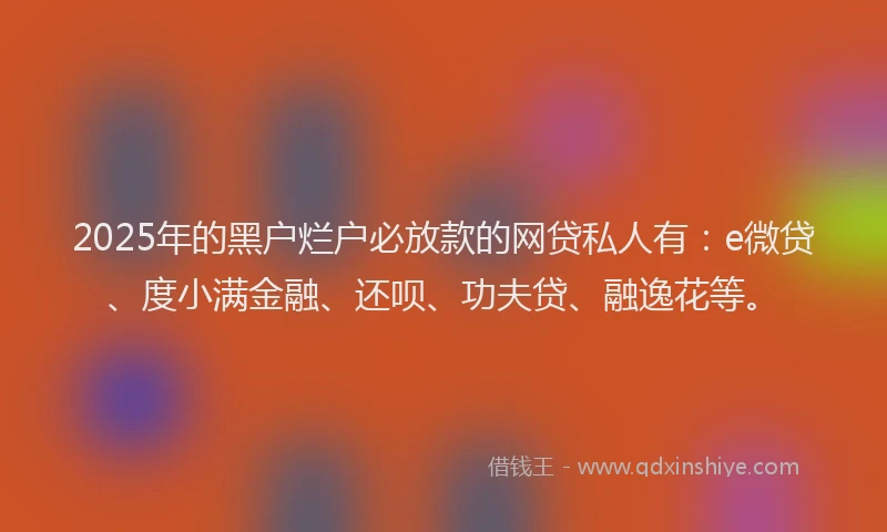 2025年的黑户烂户必放款的网贷私人有：e微贷、度小满金融、还呗、功夫贷、融逸花等。