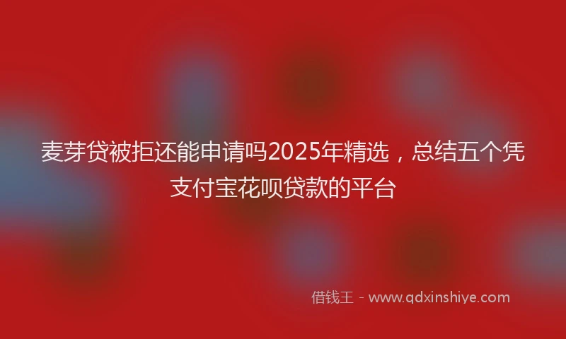 麦芽贷被拒还能申请吗2025年精选，总结五个凭支付宝花呗贷款的平台