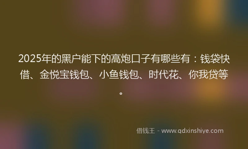 2025年的黑户能下的高炮口子有哪些有：钱袋快借、金悦宝钱包、小鱼钱包、时代花、你我贷等。