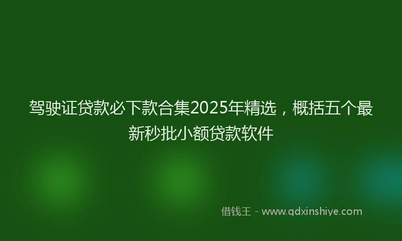 驾驶证贷款必下款合集2025年精选，概括五个最新秒批小额贷款软件