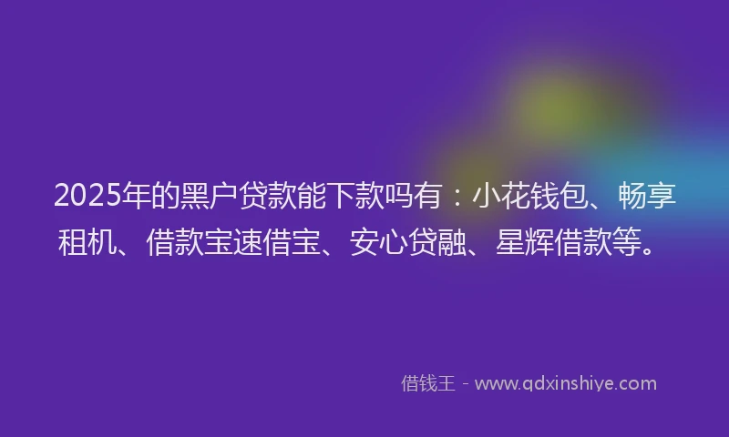 2025年的黑户贷款能下款吗有：小花钱包、畅享租机、借款宝速借宝、安心贷融、星辉借款等。