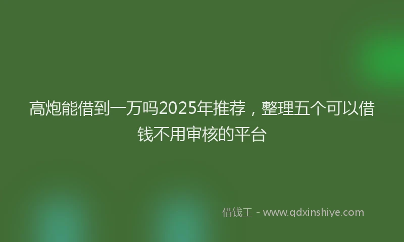 高炮能借到一万吗2025年推荐，整理五个可以借钱不用审核的平台