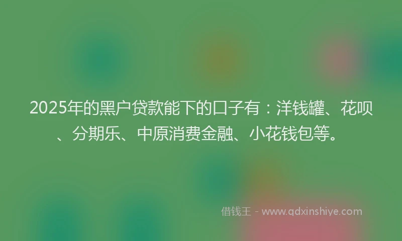 2025年的黑户贷款能下的口子有：洋钱罐、花呗、分期乐、中原消费金融、小花钱包等。