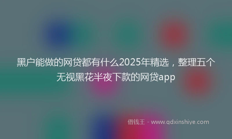 黑户能做的网贷都有什么2025年精选，整理五个无视黑花半夜下款的网贷app