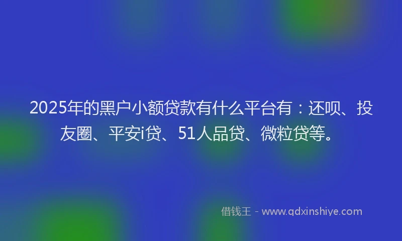 2025年的黑户小额贷款有什么平台有：还呗、投友圈、平安i贷、51人品贷、微粒贷等。