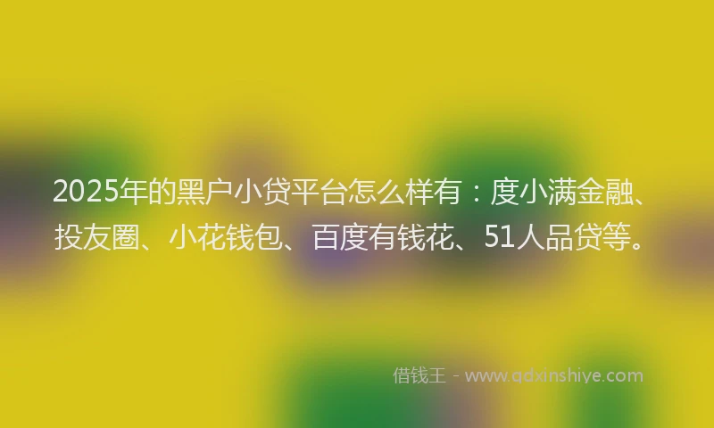 2025年的黑户小贷平台怎么样有：度小满金融、投友圈、小花钱包、百度有钱花、51人品贷等。
