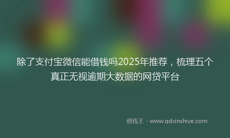 除了支付宝微信能借钱吗2025年推荐，梳理五个真正无视逾期大数据的网贷平台