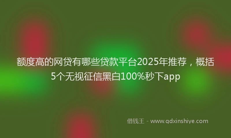 额度高的网贷有哪些贷款平台2025年推荐，概括5个无视征信黑白100%秒下app