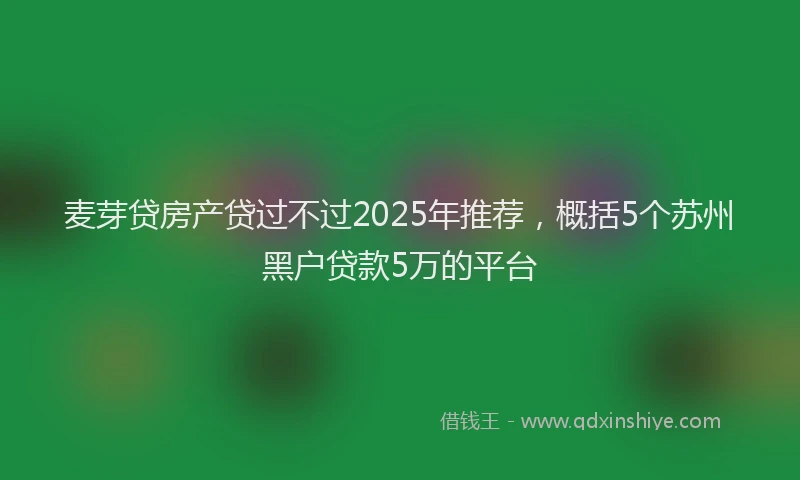 麦芽贷房产贷过不过2025年推荐，概括5个苏州黑户贷款5万的平台