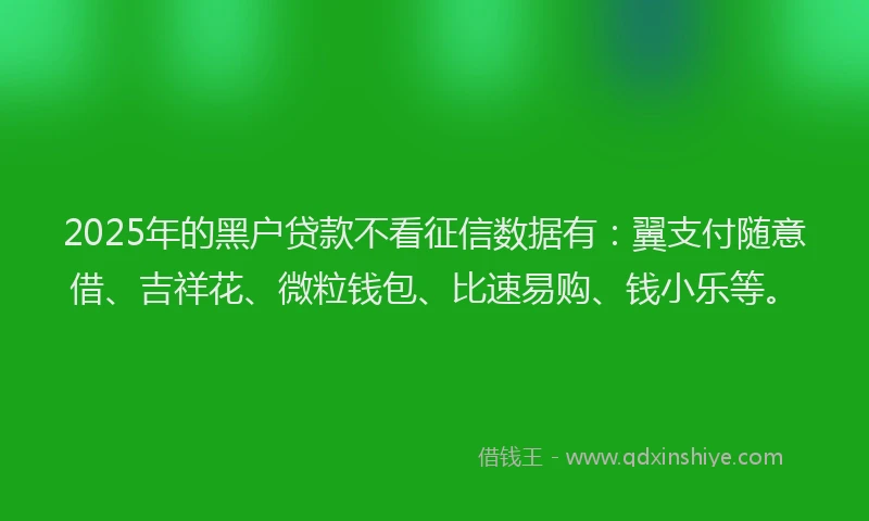 2025年的黑户贷款不看征信数据有：翼支付随意借、吉祥花、微粒钱包、比速易购、钱小乐等。