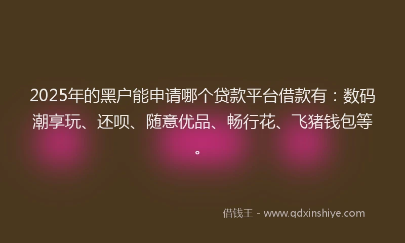 2025年的黑户能申请哪个贷款平台借款有：数码潮享玩、还呗、随意优品、畅行花、飞猪钱包等。
