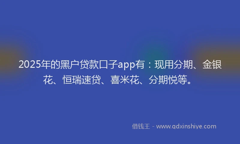 2025年的黑户贷款口子app有：现用分期、金银花、恒瑞速贷、喜米花、分期悦等。