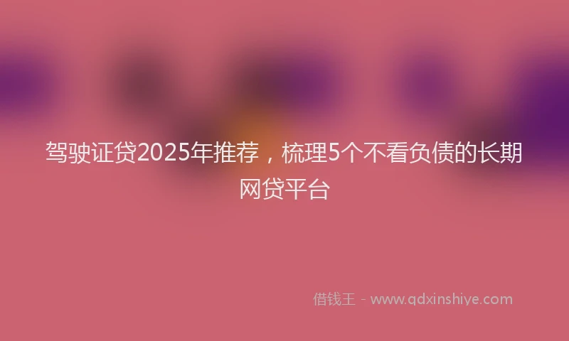 驾驶证贷2025年推荐，梳理5个不看负债的长期网贷平台