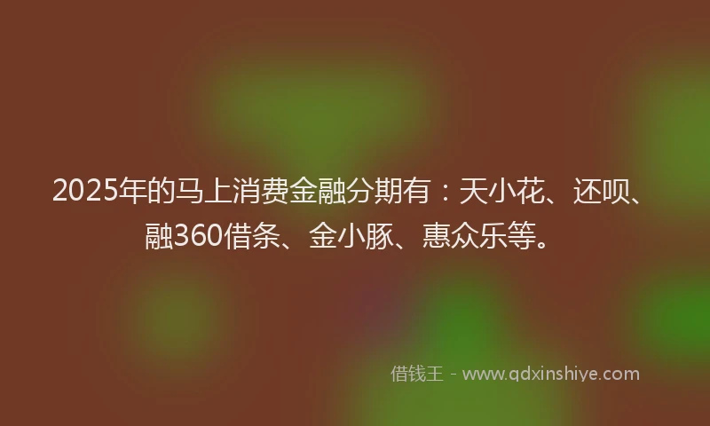 2025年的马上消费金融分期有：天小花、还呗、融360借条、金小豚、惠众乐等。