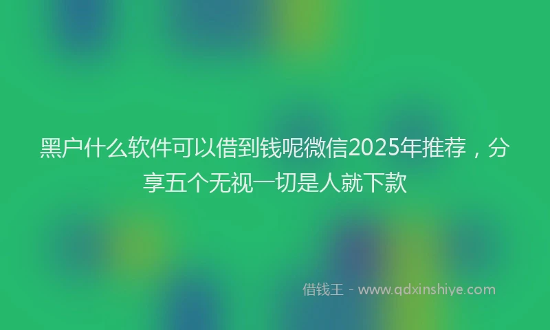 黑户什么软件可以借到钱呢微信2025年推荐，分享五个无视一切是人就下款