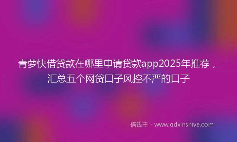 青萝快借贷款在哪里申请贷款app2025年推荐，汇总五个网贷口子风控不严的口子
