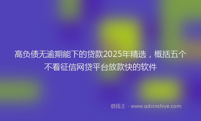 高负债无逾期能下的贷款2025年精选，概括五个不看征信网贷平台放款快的软件