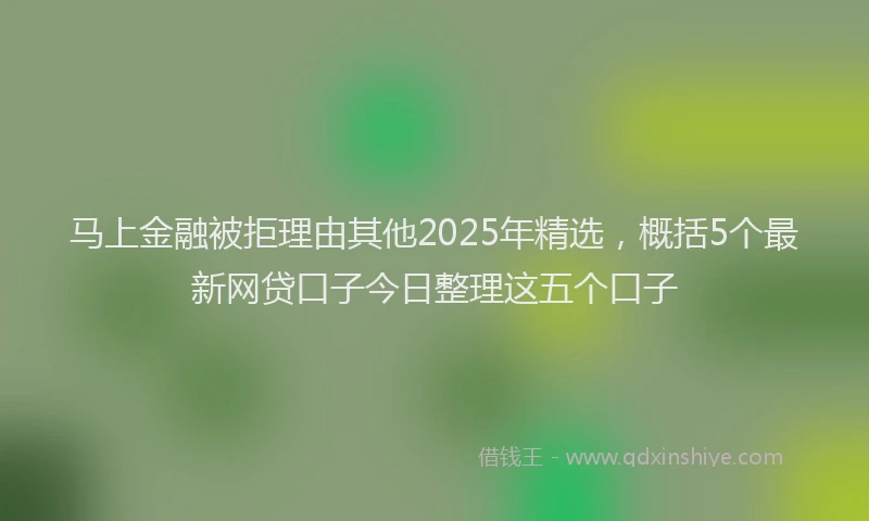 马上金融被拒理由其他2025年精选，概括5个最新网贷口子今日整理这五个口子