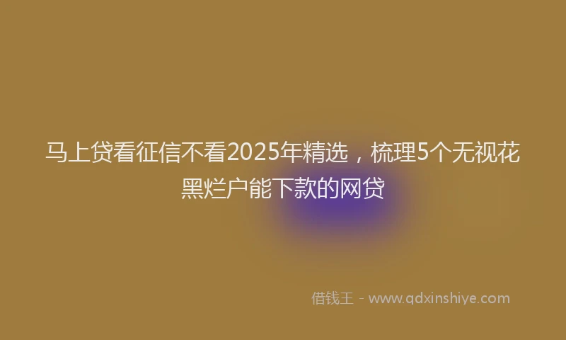 马上贷看征信不看2025年精选，梳理5个无视花黑烂户能下款的网贷
