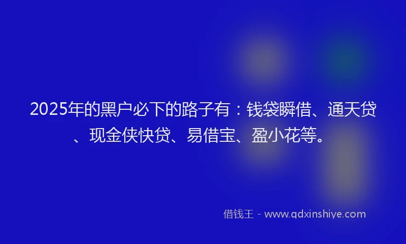 2025年的黑户必下的路子有：钱袋瞬借、通天贷、现金侠快贷、易借宝、盈小花等。