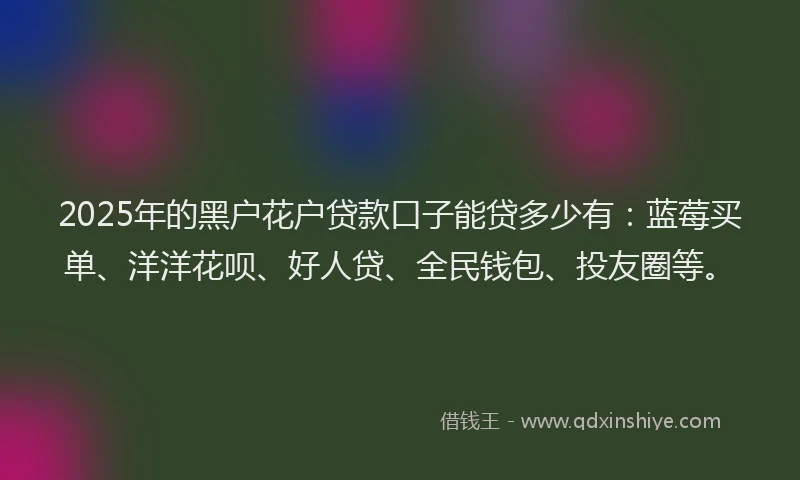 2025年的黑户花户贷款口子能贷多少有：蓝莓买单、洋洋花呗、好人贷、全民钱包、投友圈等。