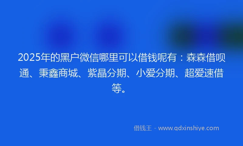 2025年的黑户微信哪里可以借钱呢有：森森借呗通、秉鑫商城、紫晶分期、小爱分期、超爱速借等。