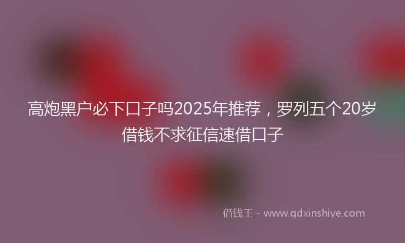 高炮黑户必下口子吗2025年推荐，罗列五个20岁借钱不求征信速借口子