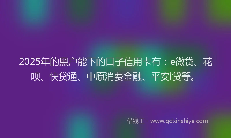 2025年的黑户能下的口子信用卡有：e微贷、花呗、快贷通、中原消费金融、平安i贷等。
