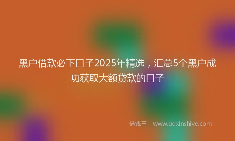 黑户借款必下口子2025年精选，汇总5个黑户成功获取大额贷款的口子