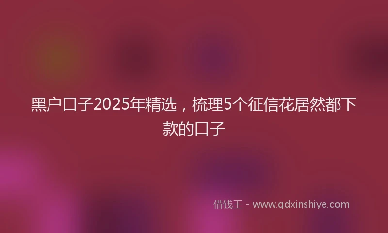 黑户口子2025年精选，梳理5个征信花居然都下款的口子