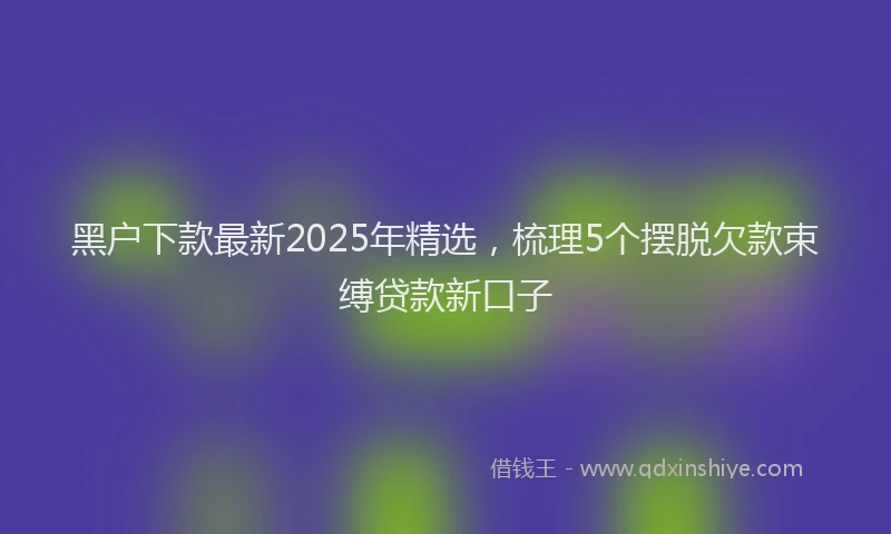 黑户下款最新2025年精选，梳理5个摆脱欠款束缚贷款新口子