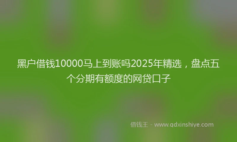 黑户借钱10000马上到账吗2025年精选，盘点五个分期有额度的网贷口子