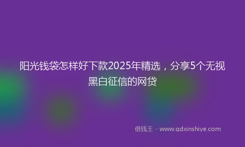 阳光钱袋怎样好下款2025年精选，分享5个无视黑白征信的网贷
