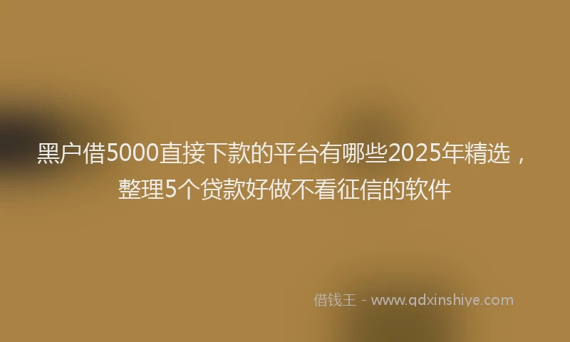 黑户借5000直接下款的平台有哪些2025年精选，整理5个贷款好做不看征信的软件
