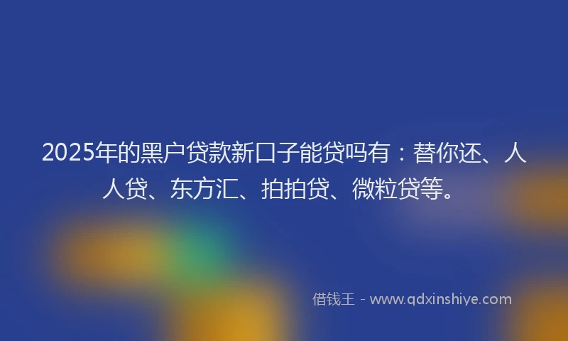 2025年的黑户贷款新口子能贷吗有：替你还、人人贷、东方汇、拍拍贷、微粒贷等。
