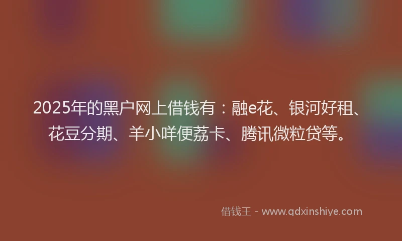 2025年的黑户网上借钱有:融e花、银河好租、花豆分期、羊小咩便荔卡、腾讯微粒贷等。