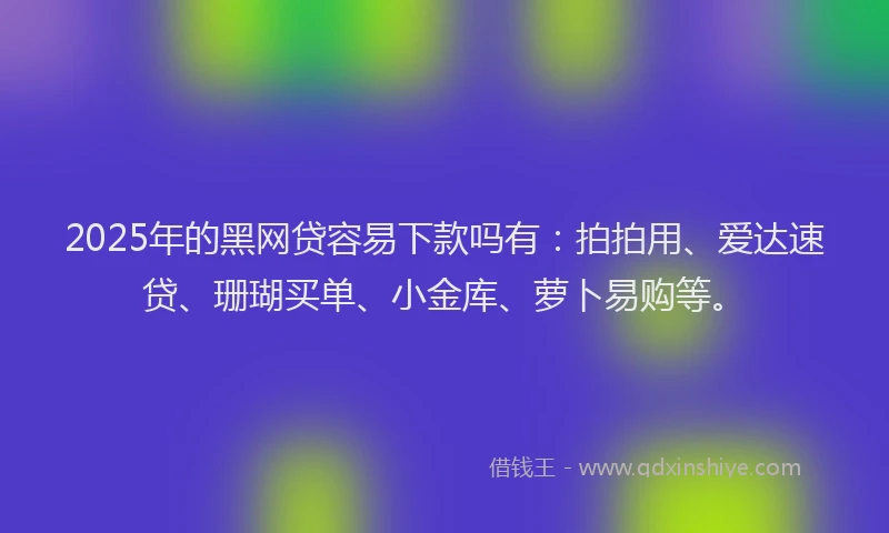 2025年的黑网贷容易下款吗有:拍拍用、爱达速贷、珊瑚买单、小金库、萝卜易购等。