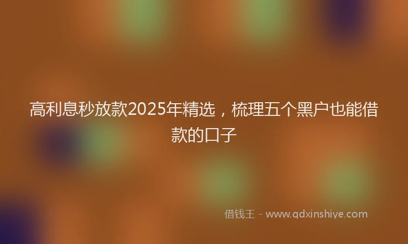 高利息秒放款2025年精选，梳理五个黑户也能借款的口子