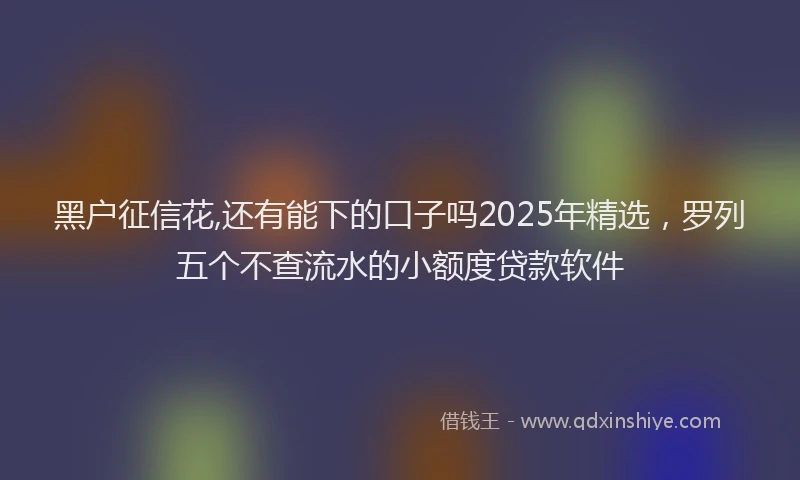 黑户征信花,还有能下的口子吗2025年精选，罗列五个不查流水的小额度贷款软件