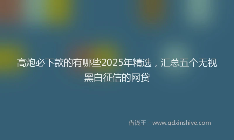 高炮必下款的有哪些2025年精选，汇总五个无视黑白征信的网贷