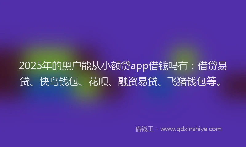 2025年的黑户能从小额贷app借钱吗有：借贷易贷、快鸟钱包、花呗、融资易贷、飞猪钱包等。