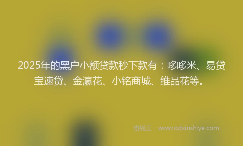 2025年的黑户小额贷款秒下款有：哆哆米、易贷宝速贷、金瀛花、小铭商城、维品花等。