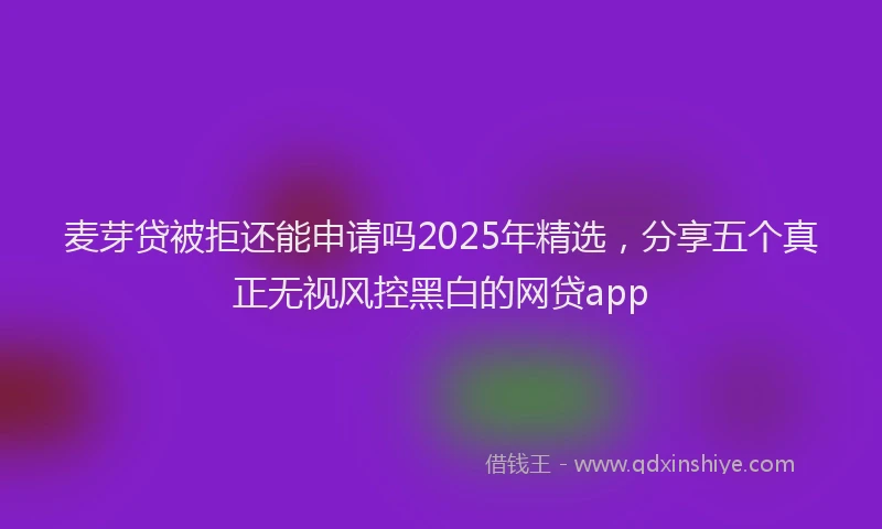 麦芽贷被拒还能申请吗2025年精选，分享五个真正无视风控黑白的网贷app