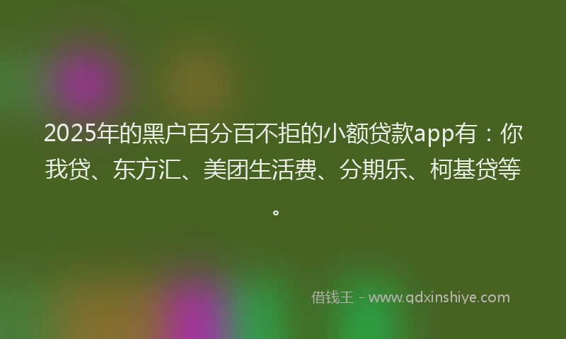 2025年的黑户百分百不拒的小额贷款app有：你我贷、东方汇、美团生活费、分期乐、柯基贷等。