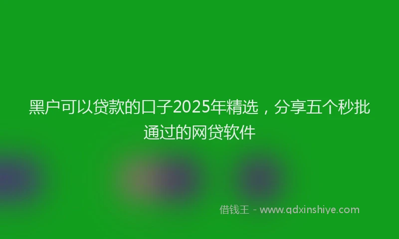 黑户可以贷款的口子2025年精选，分享五个秒批通过的网贷软件