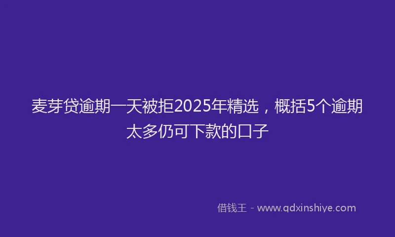 麦芽贷逾期一天被拒2025年精选，概括5个逾期太多仍可下款的口子