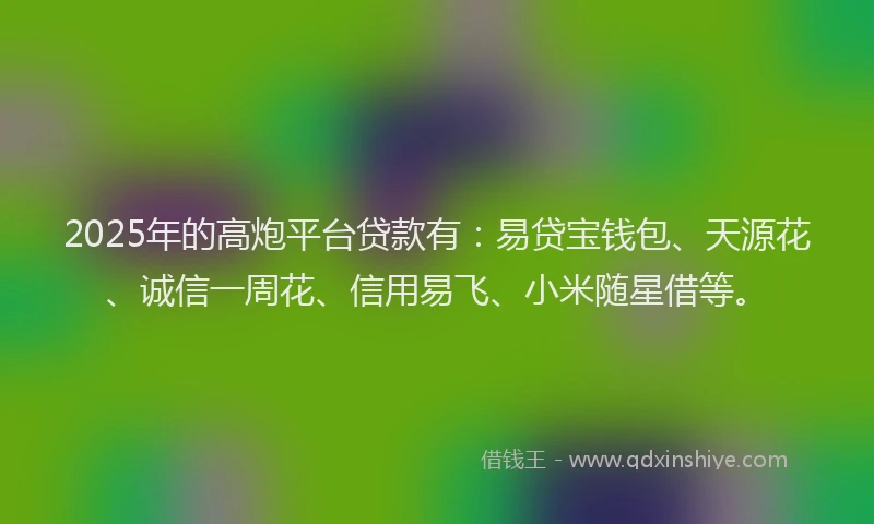2025年的高炮平台贷款有:易贷宝钱包、天源花、诚信一周花、信用易飞、小米随星借等。