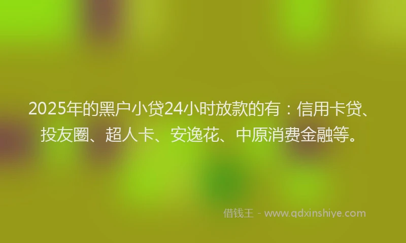 2025年的黑户小贷24小时放款的有：信用卡贷、投友圈、超人卡、安逸花、中原消费金融等。