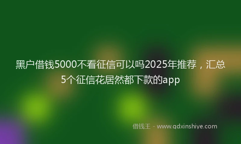 黑户借钱5000不看征信可以吗2025年推荐，汇总5个征信花居然都下款的app